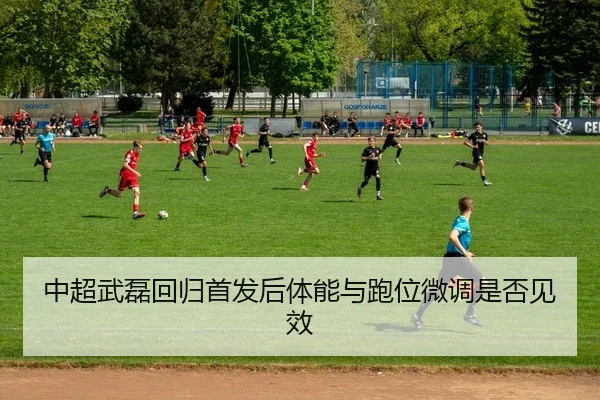 zhong-chao-wu-lei-hui-gui-shou-fa-hou-ti-neng-yu-pao-wei-wei-diao-shi-fou-jian-xiao-2-507.jpg